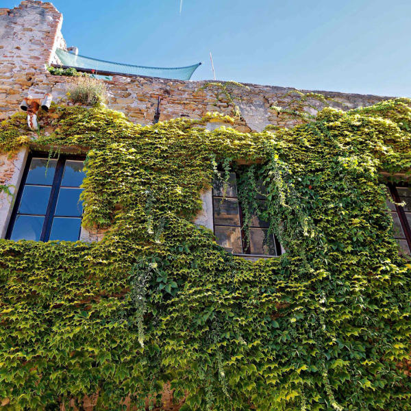 Bussano Vecchia Liguria