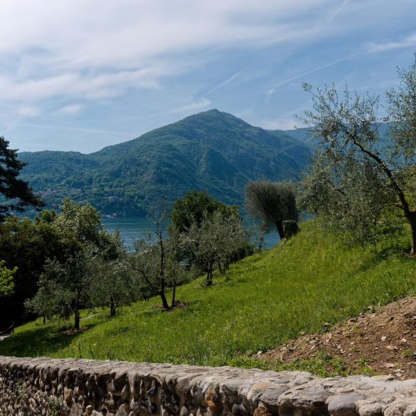 Comer See - Villa Charlotta