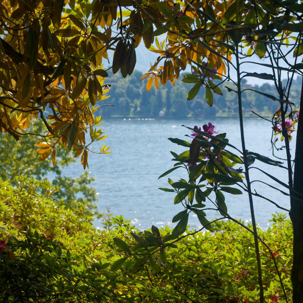 Comer See - Villa Charlotta